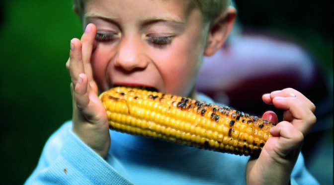 Corn-On-The-Cob & The Life (And Death) Of Cookbooks